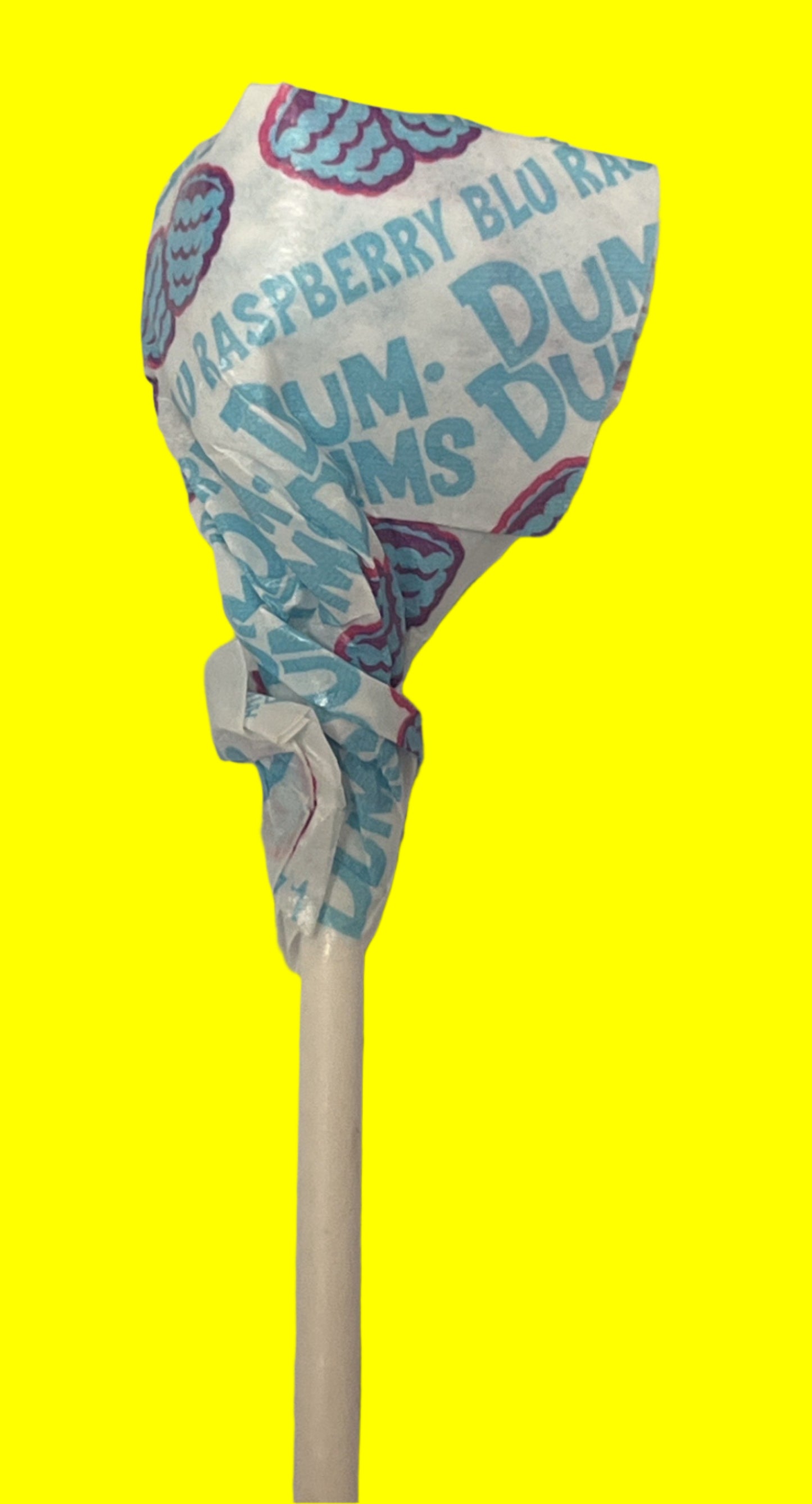 Dum Dums Lollipops - 15 count - Choose Your Favorite Flavor!