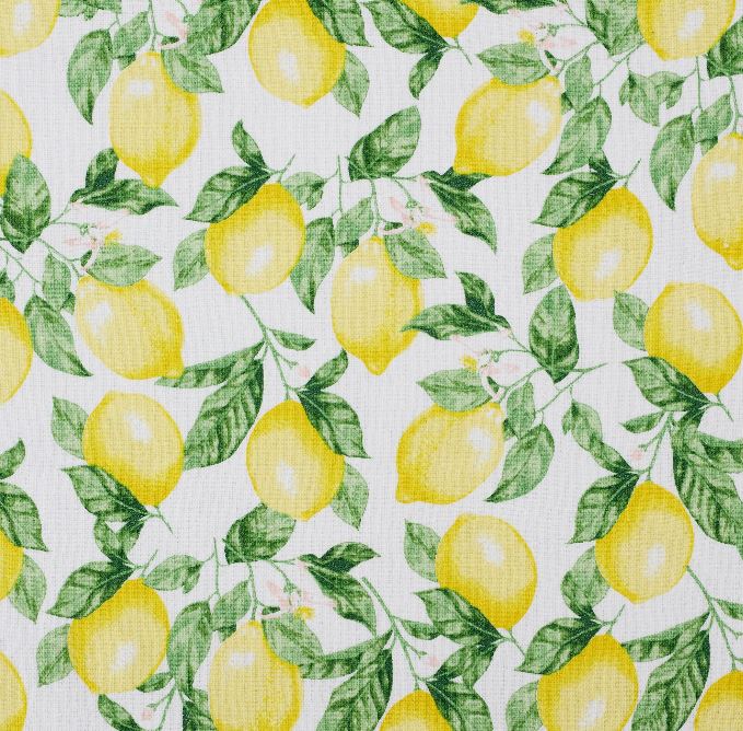 Lemon Themed Kitchen Towel Set of 2, Squeeze the Day, Summer Decor